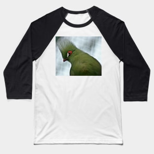 Turaco Baseball T-Shirt